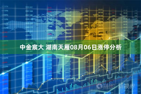 中金宸大 湖南天雁08月06日涨停分析