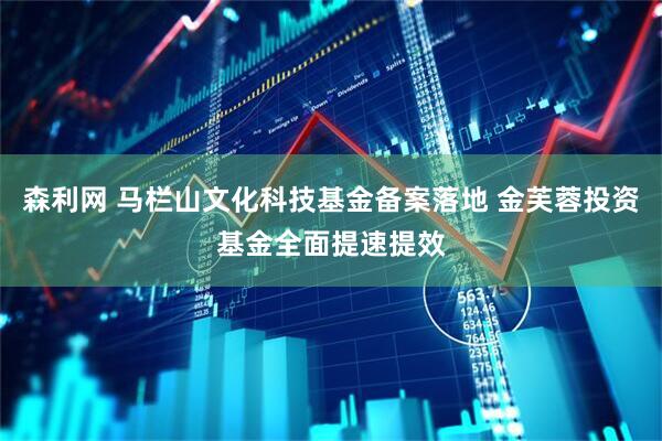 森利网 马栏山文化科技基金备案落地 金芙蓉投资基金全面提速提效