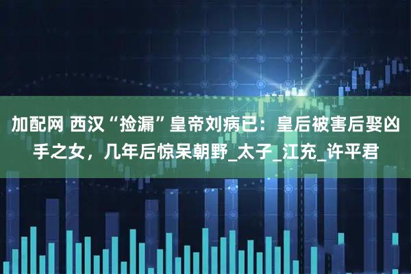 加配网 西汉“捡漏”皇帝刘病已：皇后被害后娶凶手之女，几年后惊呆朝野_太子_江充_许平君