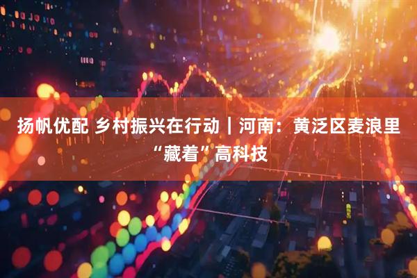 扬帆优配 乡村振兴在行动｜河南：黄泛区麦浪里“藏着”高科技